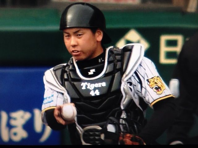 阪神タイガースの16年に向けた補強 タイガースあれこれ